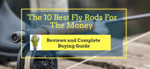 Best Fly Rods for the money
